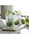 HomeBox Aras Long 6-Piece Glass Set - 365 ml