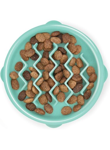 Outward Hound Fun Feeder Slo Bowl, Slow Feeder Dog Bowl, Small/Tiny, Mint