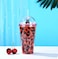 Decent Capybara foam Tumblers Durable Cute Drinking Cup with Straw, Reusable Tumblers Semi Transparent Double Walled Tumblers