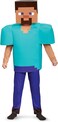 Disguise Steve Deluxe Minecraft Costume, Multicolor, Medium (7-8)