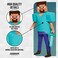 Disguise Steve Deluxe Minecraft Costume, Multicolor, Small (4-6)