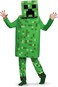 Child Minecraft Creeper Dress-Up 7-8 Years