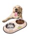 DXB Dream Double Dog Food Bowls, Dog Bowls For Food And Water Stainless Steel Dog Cat Bowls For Small/Medium/Large Dogs, Removable Stainless Steel Pet Food Bowl For Cats and Dogs