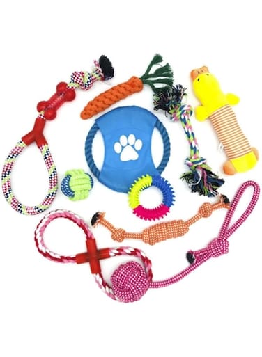 Coodipet 10 Pack Dog Chew Toys   Puppy Toys Dog Toys for Boredom   Indestructible Dog Toys with Rope Toys, Squeaky Toy   Dog Toy, Dog Teething Toys for Small &amp; Medium Dogs   Dog