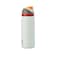 Owala FreeSip Insulated Stainless Steel Water Bottle with Straw for Sports, Travel, and School BPA-Free Sports Water Bottle, 32 oz, Boneyard