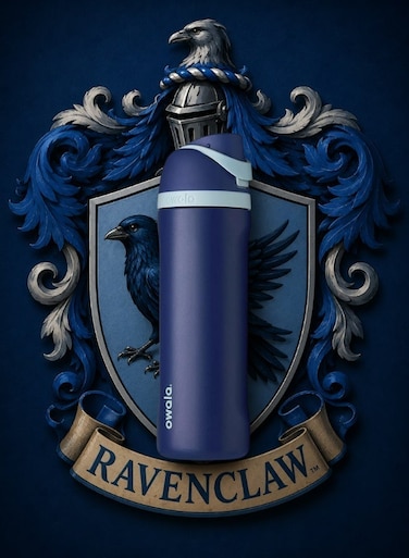 Owala 24 oz 710 ml Harry Potter FreeSip Insulated Stainless Steel Water Bottle, Ravenclaw Blue