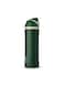 Owala 24 oz 710 ml Harry Potter FreeSip Insulated Stainless Steel Water Bottle, Slytherin Green.