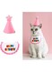 2Pcs Cat Birthday Party Supplies Decorations Set, Pet Birthday Hat Adjustable Cotton Bib Set Happy Birthday Bandanas Scarves Costume for Small Pets Cats Dogs (Pink, One Size)