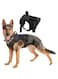 Project Nomad Dog Harness &ndash; M/L Tactical Dog Vest for Leash, adjustable for dogs, heavy duty metal buckle collar, choke free for activities, Golden Retrivers, Velcro loop for Patches (Black, Large)