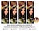 Bigen Speedy Conditioning Hair Color No. 30 Dark Brown, Pack of 4 No Ammonia, 10-Minute Coverage,