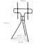 Hama 220870 TV STAND, FREE-STANDING EASEL, HEIGHT-ADJUSTABLE, 191 CM (75) UP TO 40 KG