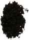 Terrano Forest Substrate 4L