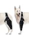 Jiawu Dog Elbow Protector, Dog Elbow Brace Protector Pads for Canine Elbow and Shoulder Support, Dog Knee Leg Sleeve for Dysplasia, Arthritis, Pressure Sores, Shoulder Dislocation (M)