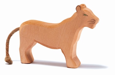 Lion Female