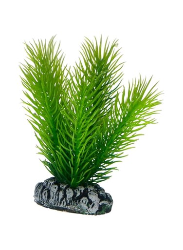 Hobby Aquarium D&eacute;cor, Artificial Plant - Mayaca Small, 7 cm