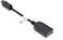 Dell Adapter - Mini DisplayPort To DisplayPort - Male To Female