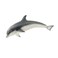 Schleich Dolphin Small