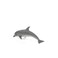 Schleich Dolphin Small
