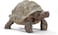 Schleich Giant Tortoise Small