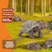 Schleich Giant Tortoise Small