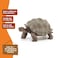 Schleich Giant Tortoise Small