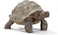 Schleich Giant Tortoise Small