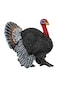 Schleich Turkey 13900