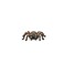 Schleich 14829 Tarantula Spider Play Figure