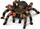 Schleich 14829 Tarantula Spider Play Figure