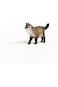 Schleich Ragdoll Cat 13940