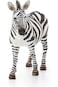 Schleich Zebra Female 14810