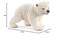 شلايش 14708 دب قطبي يتكاثر ويركض، 3 سنوات، مجسم للحياة البرية، 4 × 7 × 4 سم