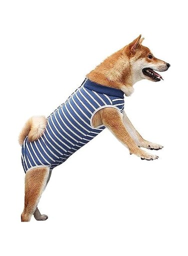 Dog Recovery Suit, Bandages Cone E-Collar Alternative Professional Protective Shirt for Male Female Dogs &amp; Cats After Surgery, Pet Post Operative Jumpsuit for Abdominal Wounds (Blue, XXXL)
