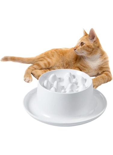 Raised Slow Feeder Cat Bowls, Fun Ceramic Pet Feeder, Healthy Eating for Wet &amp; Dry Food, Pet Puzzle Food Plate, Prevent Vomitting Indigestion, Prevents Obesity, Dishwasher Safe (White)