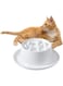 Raised Slow Feeder Cat Bowls, Fun Ceramic Pet Feeder, Healthy Eating for Wet &amp; Dry Food, Pet Puzzle Food Plate, Prevent Vomitting Indigestion, Prevents Obesity, Dishwasher Safe (White)
