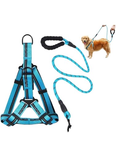 PETSARY Dog Harness Nylon Set Leash with Padded Handle - 6.5FT Long Reflective Rope Slip Leash - Strong Heavy Duty Sturdy Design - Training Walking Running for Medium Large - Blue