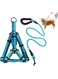 PETSARY Dog Harness Nylon Set Leash with Padded Handle - 6.5FT Long Reflective Rope Slip Leash - Strong Heavy Duty Sturdy Design - Training Walking Running for Medium Large - Blue