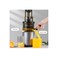 XVersion Juice Extractor 3-in-1 Cold Press Juicer Machine, Stainless Steel Multi-Function Slow Juice