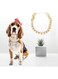 Dog Choker, Decoration Collar Shiny Plastic Gold Dog Collar, Fashionable Puppy Cat Pet for Dog(Golden)