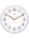Ajanta Quartz Plastic Radium Wall Analogue Clock Night Glow (11 Inch, White)