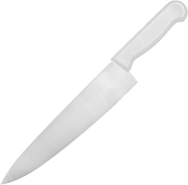 Master 10 Inch Stainless Steel Professional Chef Knife (White)