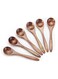 ELECDON Small Wooden Spoons, 6pcs Wooden Teaspoon Sevensun Small Teaspoons Serving Wooden Utensils For Cooking Small Condiments Spoon, Mini Wooden Honey Spoon For Daily Use