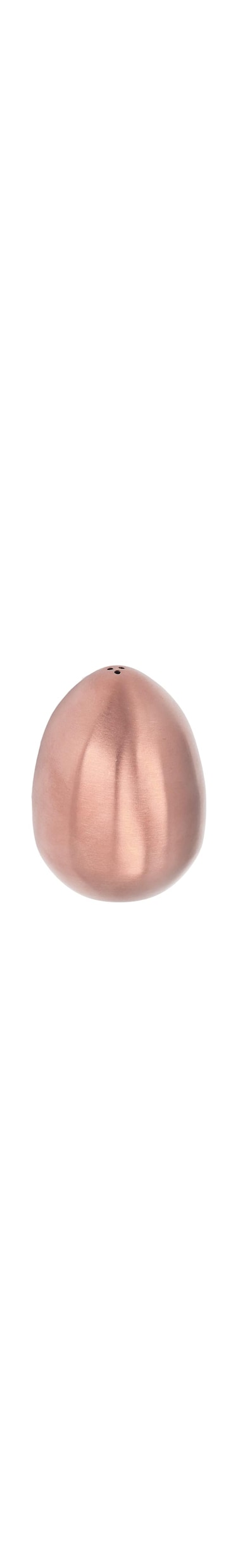 Pasamer Egg Shaped Salt Shaker, Stainless Steel Kitchen Accessories Handy A181 Egg Shaker for Family Restaurant Meeting Rose Gold