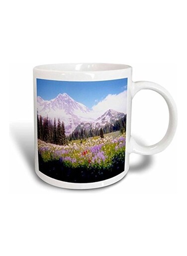 Mount Rainier Printed Mug Muticolour