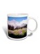 Mount Rainier Printed Mug Muticolour
