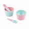 9-Piece Ice Cream Set (4 Bowl, 1 Big Spoons, 4 Small Spoons)