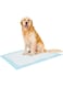Mumoo Bear Puppy Training Pads For Dog Pet Pee Absorbent Toilet Wee Mat Anti Slip Leakproof (40 Pack-60 * 60Cm)