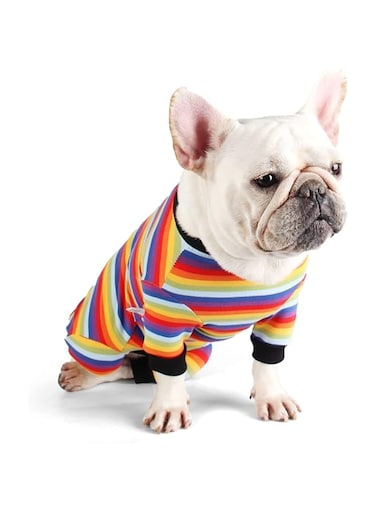 SYOSI Dog Surgical Recovery Suit Rainbow Color Anti- licking Dog Abdominal Wounds Bandages Post- Operative Onesie for E-Collar Dogs Cats After Surgery Colorful
