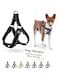 DOCO&reg; Athletica Air Step-In Harness (DCA202) Color - Black, Sizes - M