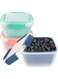 Tazweeq 3 Pack Berry Keeper Fruit Storage Container for Fridge, 50oz Fresh Food Produce Saver Containers with Removable Drain Colanders, Vegetable Lettuce Keeper Bowl, Refrigerator Organizer